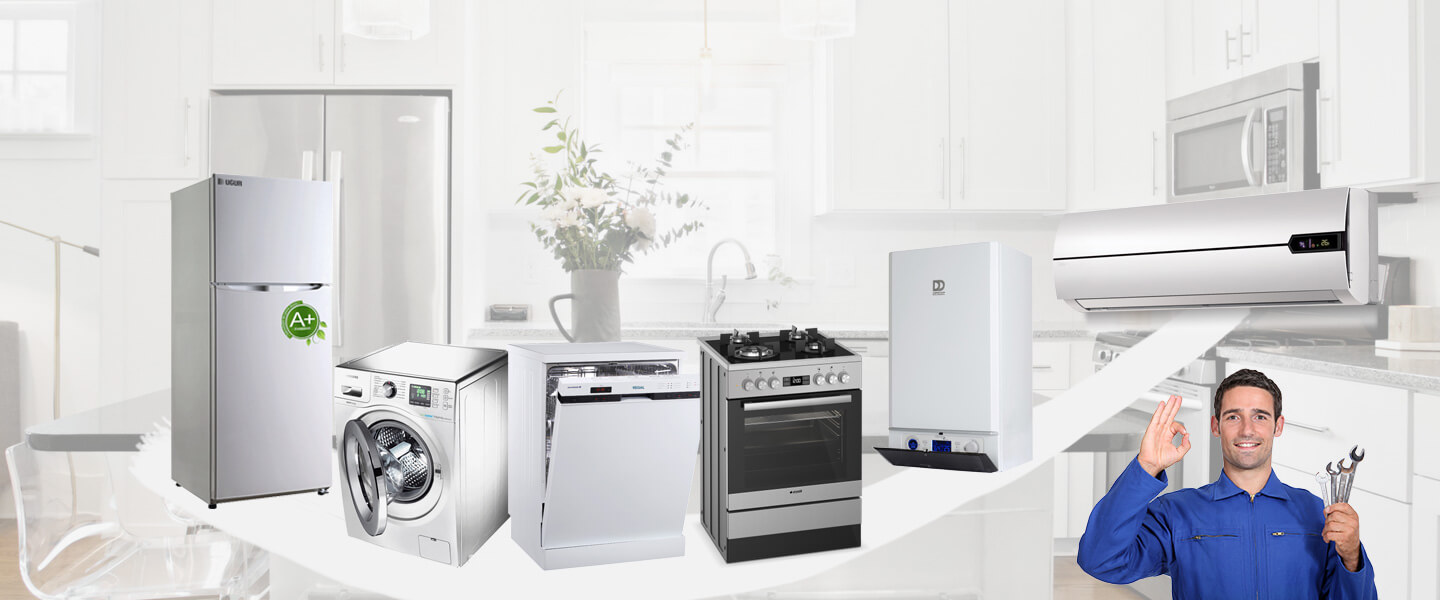Bartın Regal Servisi